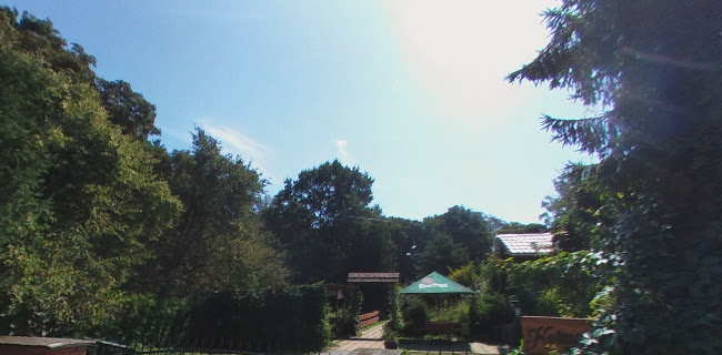 Comentarii opinii despre Kolmanka