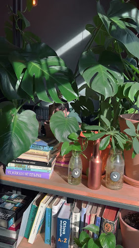 Opinii despre Ost block în Bratislava - Gastronómia a pohostinstvo