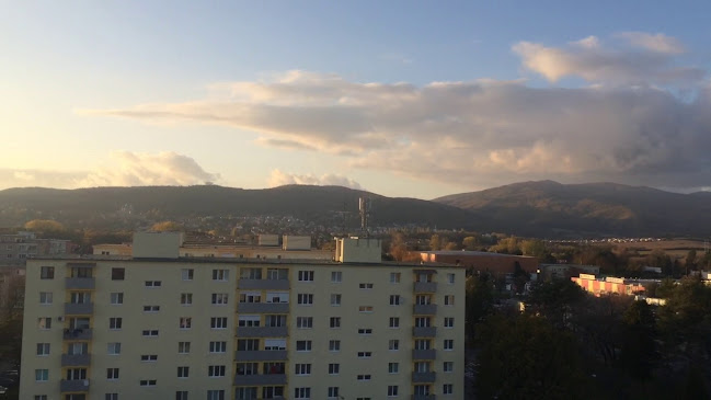 Top Cafe - Gastronómia a pohostinstvo