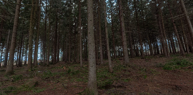 Pohostinstvo Jedľoviny u Ivana