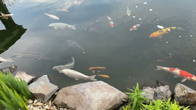 Adub - Veľký Krtíš