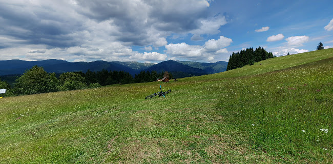 Comentarii opinii despre Dedečkova chata