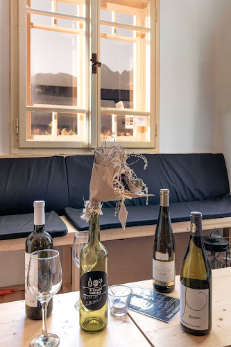 Tatranský VinoHLAD - Gastronómia a pohostinstvo