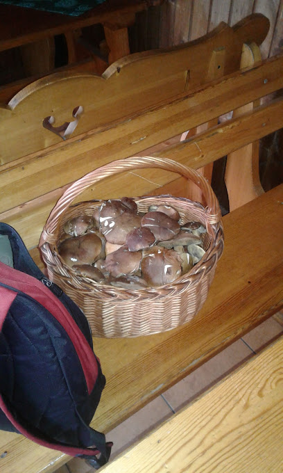 MASH (Bufet pri stanici)