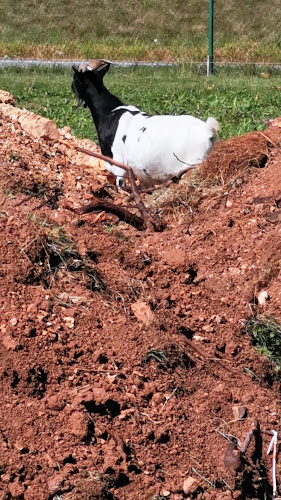 Turňa nad Bodvou 654, 044 02 Turňa nad Bodvou