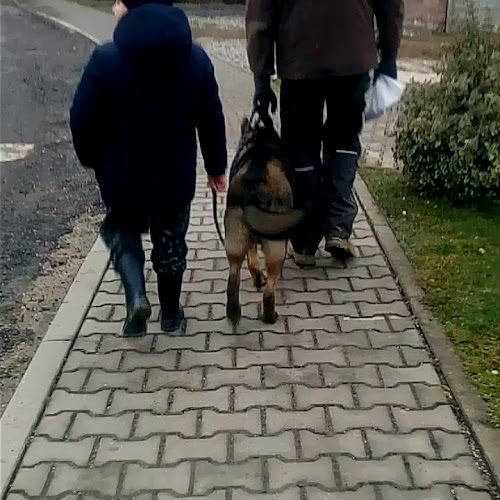 HAMBURGER N2 KÁČER VLADISLAV