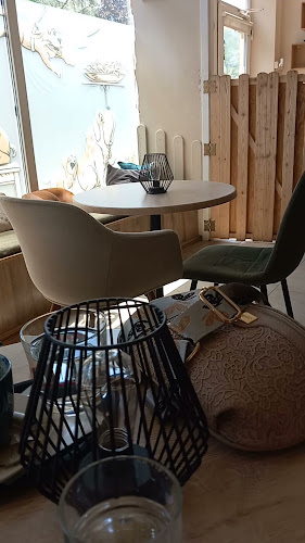 Opinii despre Psia škôlka a Caffetéria în Petržalka - Gastronómia a pohostinstvo