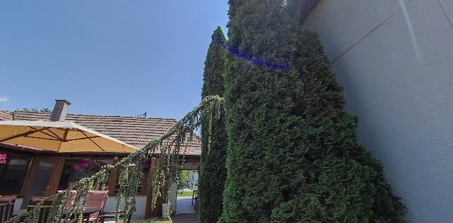 Sladká Záhrada - Čunovo