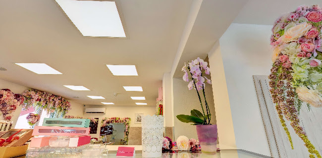 Ružová cukráreň Nitra - zákusky, torty - Gastronómia a pohostinstvo