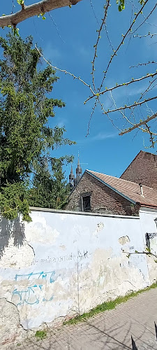 Comentarii opinii despre Synagóga café