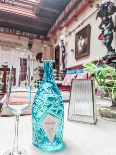 Comentarii opinii despre Divná Pani