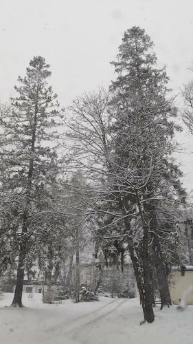 Tatranská Lomnica 96, 059 60 Vysoké Tatry