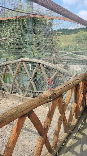 Motorest Devičie - Devičie