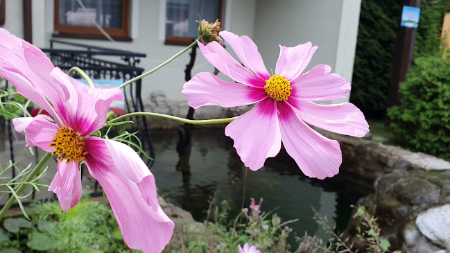 Koliba Bystrá - Bystrá