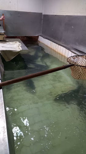 Comentarii opinii despre Tržnica