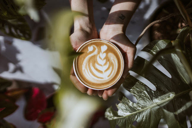 Comentarii opinii despre Svet Miriss