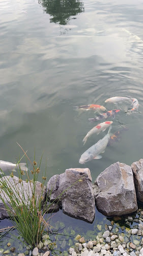 Opinii despre Adub în Veľký Krtíš - Gastronómia a pohostinstvo