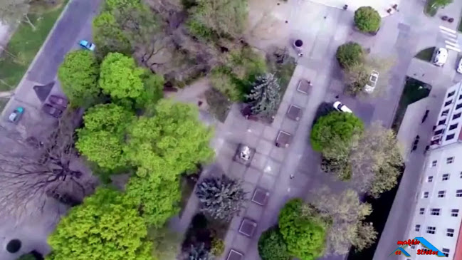 Opinii despre P.P. Pizza Neapolská în Šamorín - Gastronómia a pohostinstvo