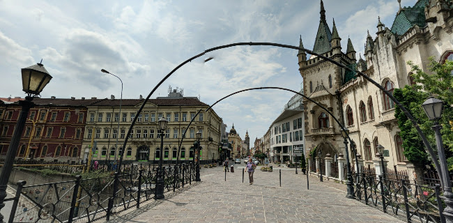 Opinii despre Burger Mestský park în Košice - Gastronómia a pohostinstvo