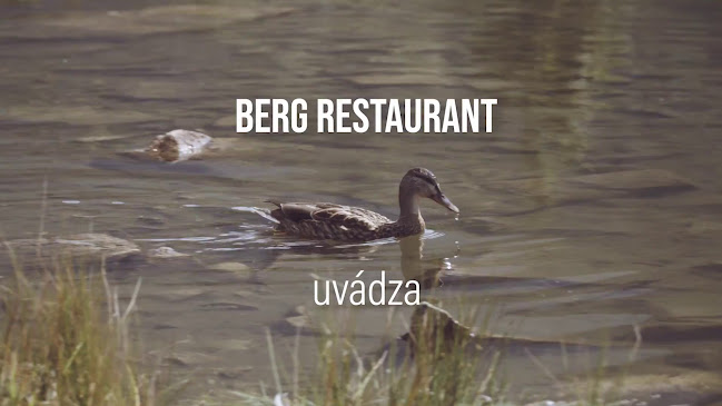 BERG restaurant - Petržalka