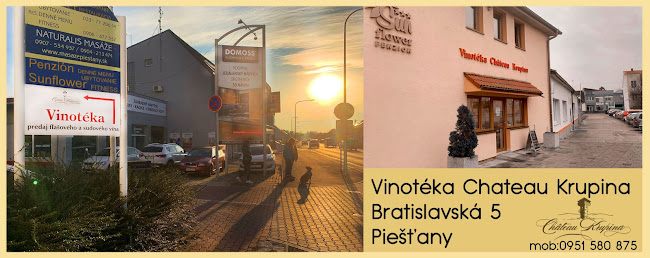 Vinotéka Chateau Krupina - Gastronómia a pohostinstvo