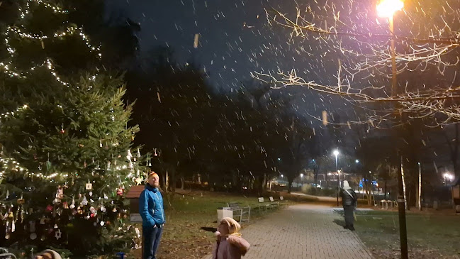 Opinii despre Kaviareň v Žilinskom lesoparku în Žilina - Gastronómia a pohostinstvo