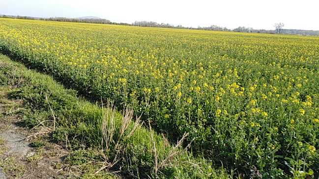 Bufet pod Šancem - Vysoká pri Morave