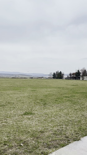 Opinii despre Pilot Bar în Barca - Gastronómia a pohostinstvo