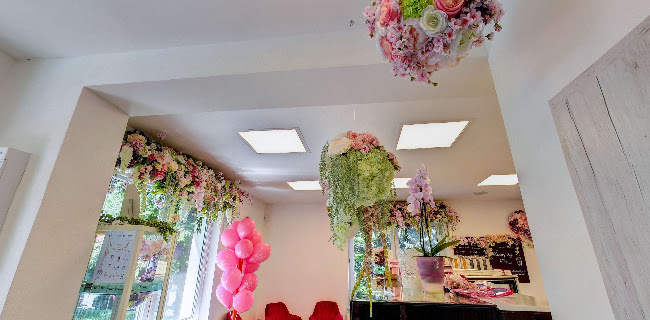 Ružová cukráreň Nitra - zákusky, torty - Gastronómia a pohostinstvo