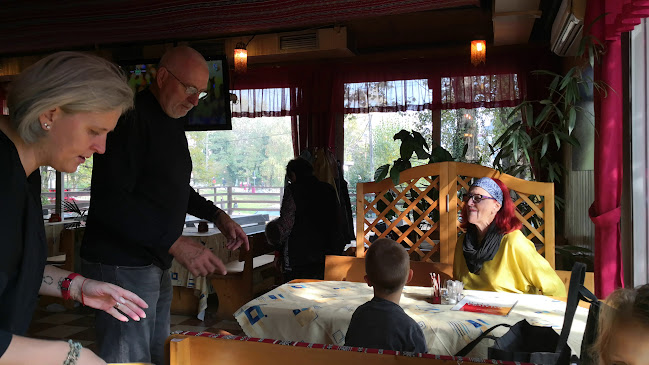 Opinii despre Palmyra Club în Karlova Ves - Gastronómia a pohostinstvo