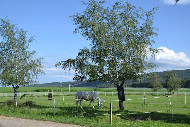 Comentarii opinii despre Bufet Podkova