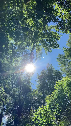 Opinii despre VEŽA - Restaurant + vyhliadka în Nové Mesto - Gastronómia a pohostinstvo