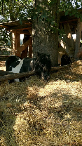 Salaš Sklabiná - Nová Ves