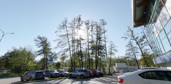 Opinii despre Ancora Restaurant în Banská Bystrica - Gastronómia a pohostinstvo