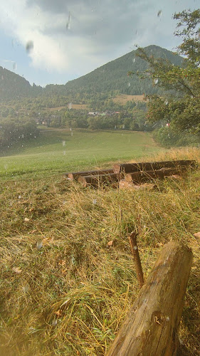 Vlkolínec 9040, 034 03 Ružomberok