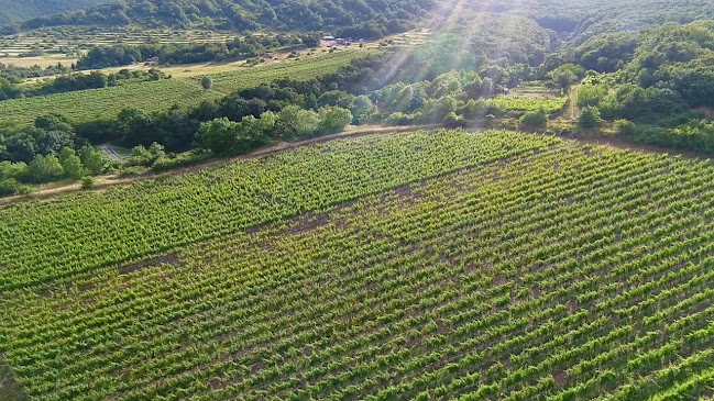Opinii despre Tatranský VinoHLAD în Vysoké Tatry - Gastronómia a pohostinstvo