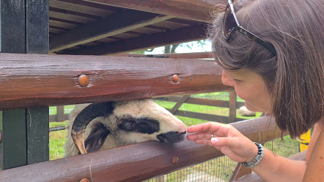 Comentarii opinii despre Spišský salaš