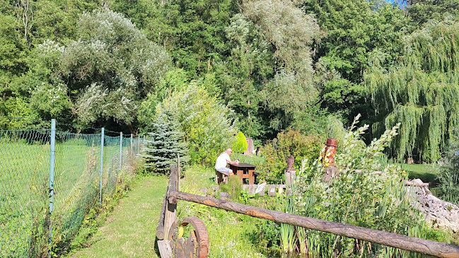 Opinii despre Rybník Machnáč în Petrova Lehota - Gastronómia a pohostinstvo