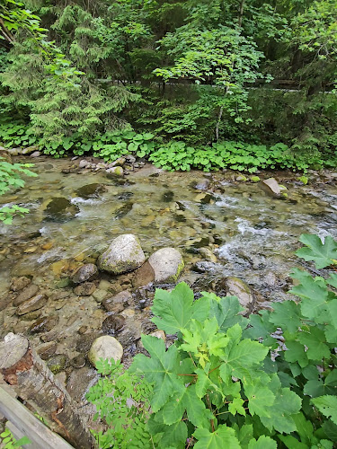 RIVERSIDE RESTAURANT