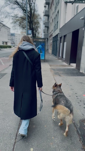 Oli’s pekárenské bistro - Gastronómia a pohostinstvo