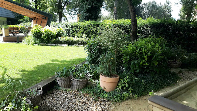 Opinii despre Petržalská Klubovňa în Petržalka - Gastronómia a pohostinstvo