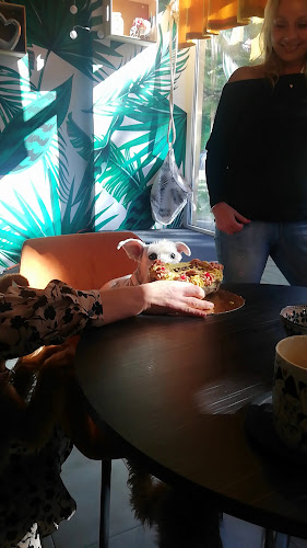 Opinii despre Psia škôlka a Caffetéria în Petržalka - Gastronómia a pohostinstvo