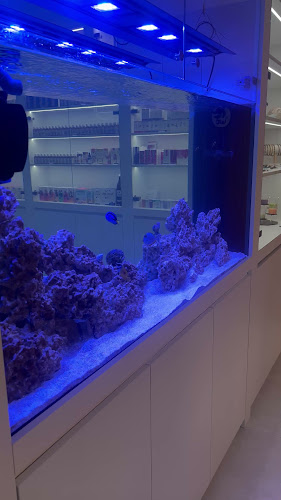 Opinii despre TIMEOUT café în Bratislava - Gastronómia a pohostinstvo