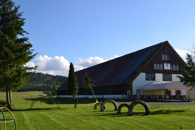 Comentarii opinii despre Bufet Podkova