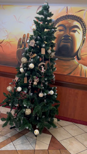 Opinii despre Dajun ázijská reštaurácia & sushi bar în Šamorín - Gastronómia a pohostinstvo