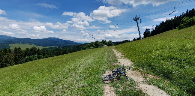 Opinii despre Dedečkova chata în Mýto pod Ďumbierom - Gastronómia a pohostinstvo
