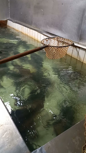 Šancová, Trnavské mýto 112, 831 04 Bratislava