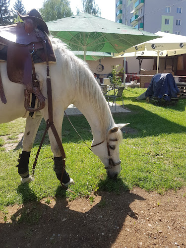 Comentarii opinii despre Žiarčan