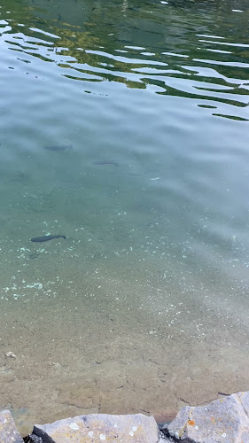 Comentarii opinii despre Koliba Richtárka