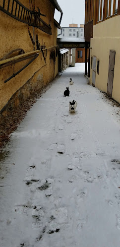 Penzión Panský Dom